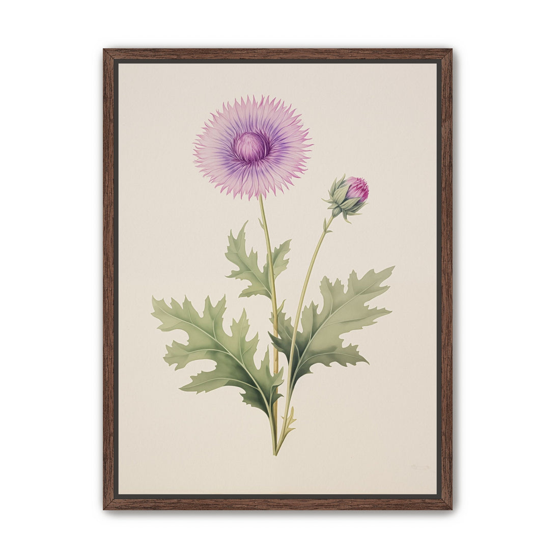 Lavender Radiance