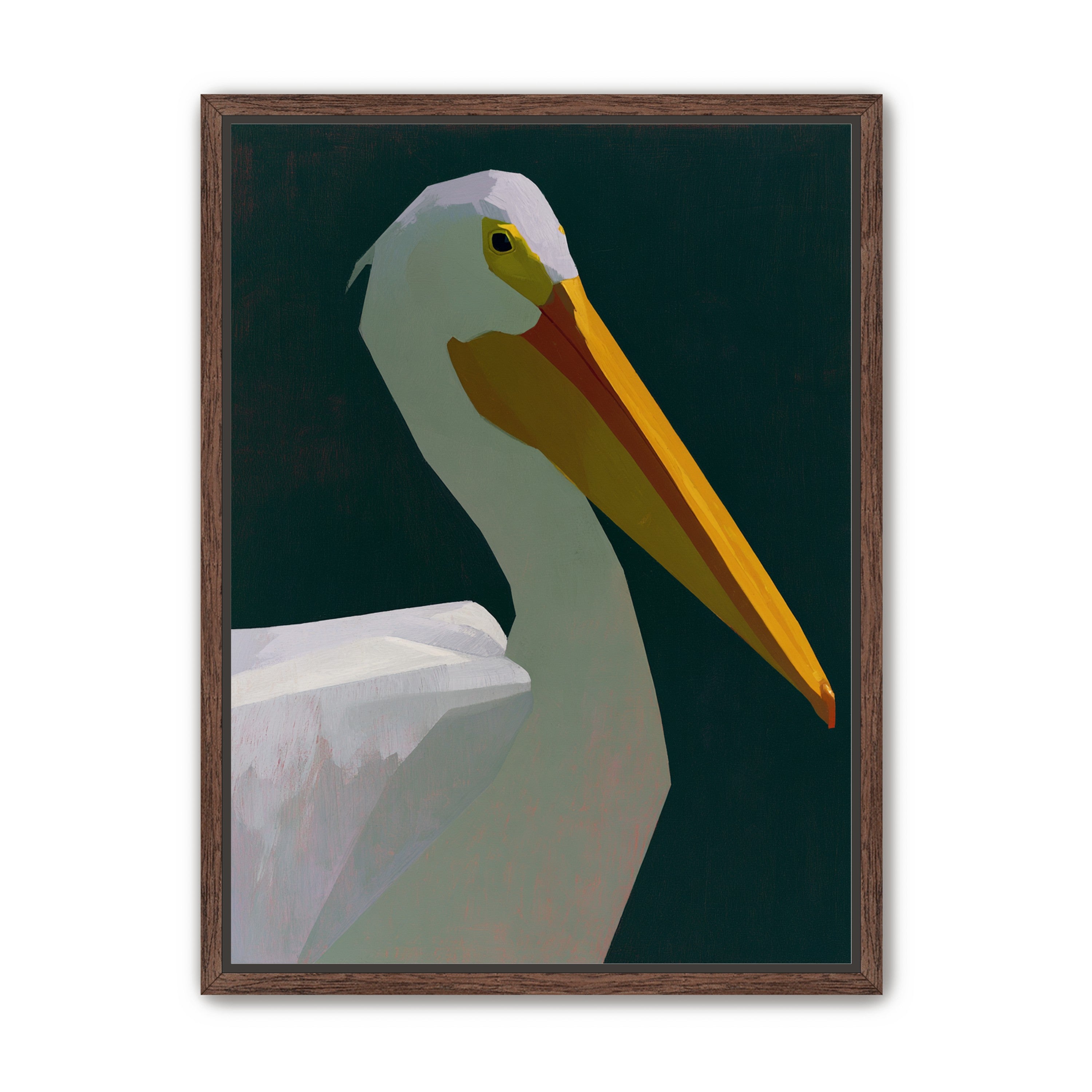 White pelican in deep green