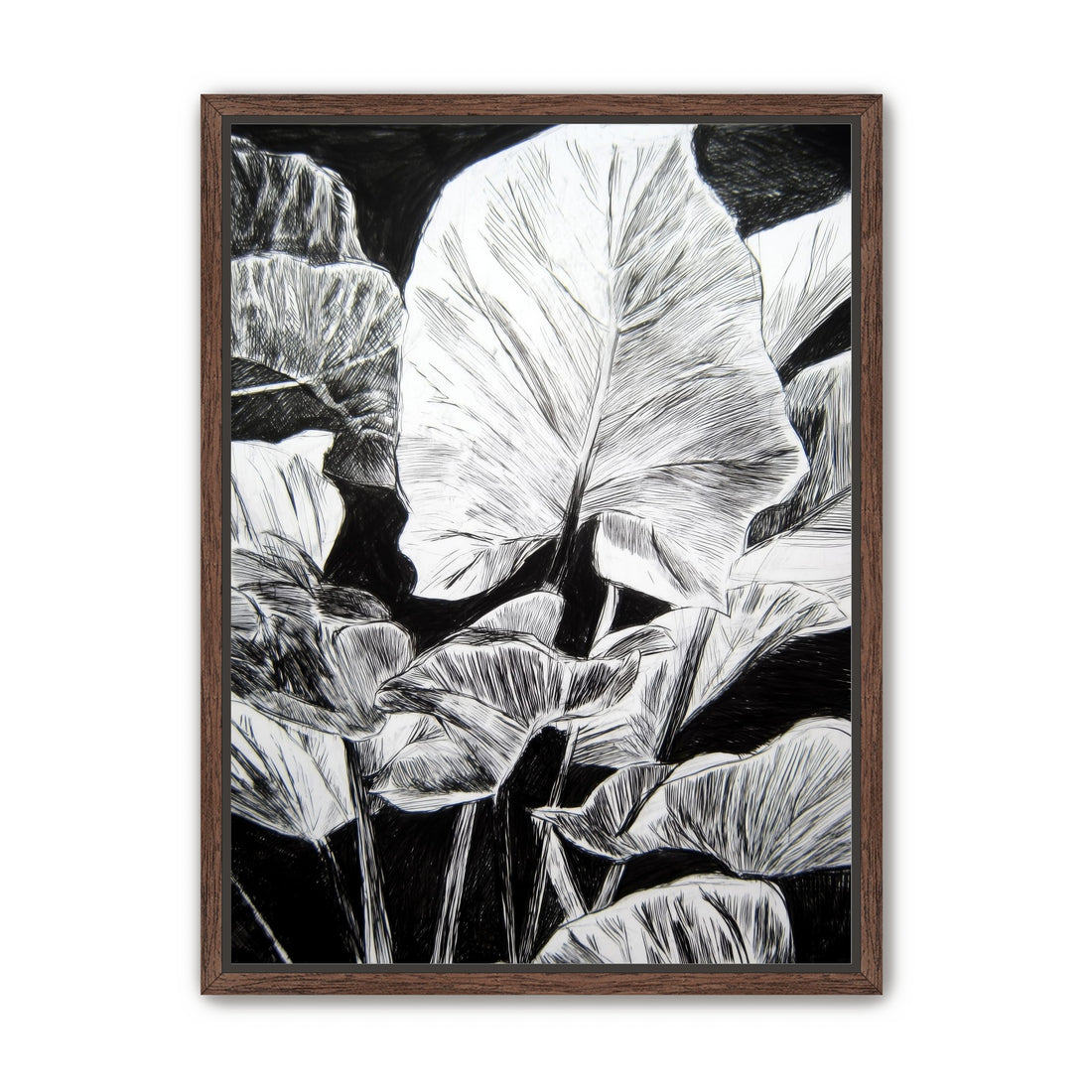 A Cluster of Leaves