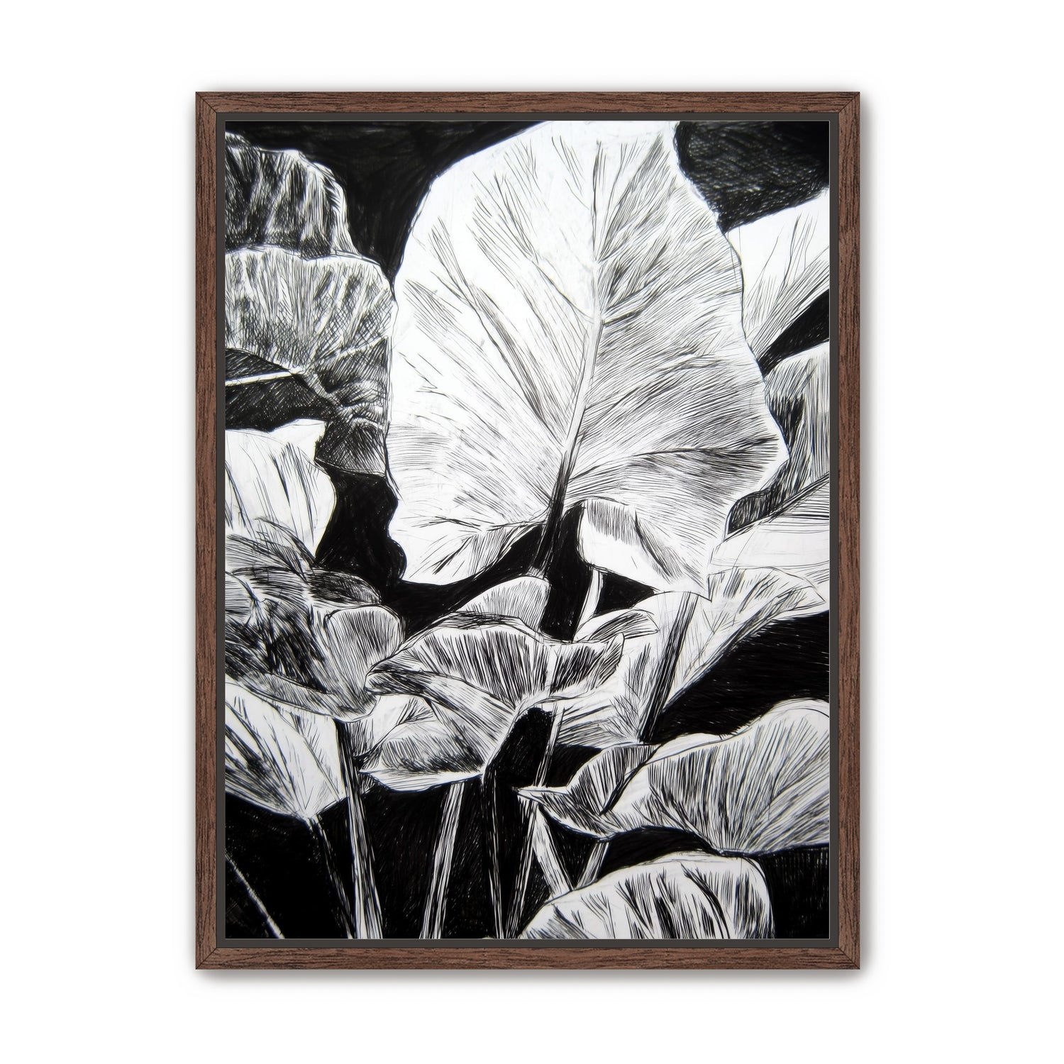 A Cluster of Leaves