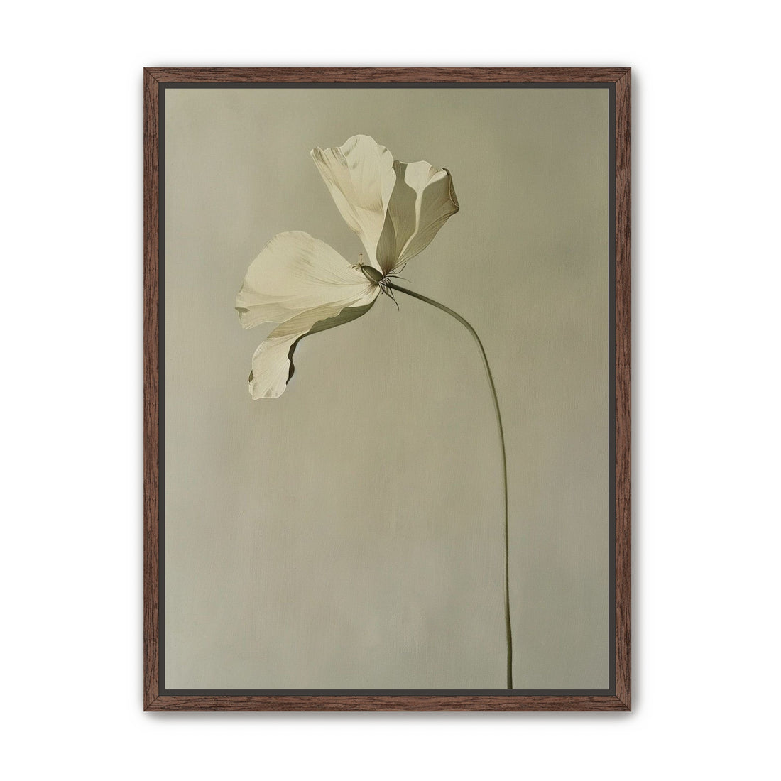 Cream petals in gray green air