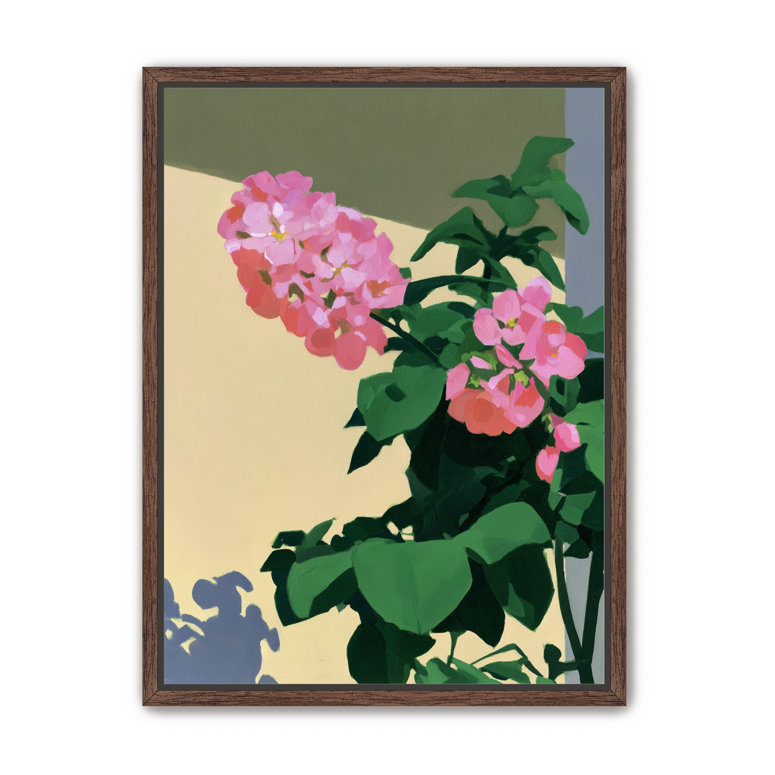 Pink blooms in hard light