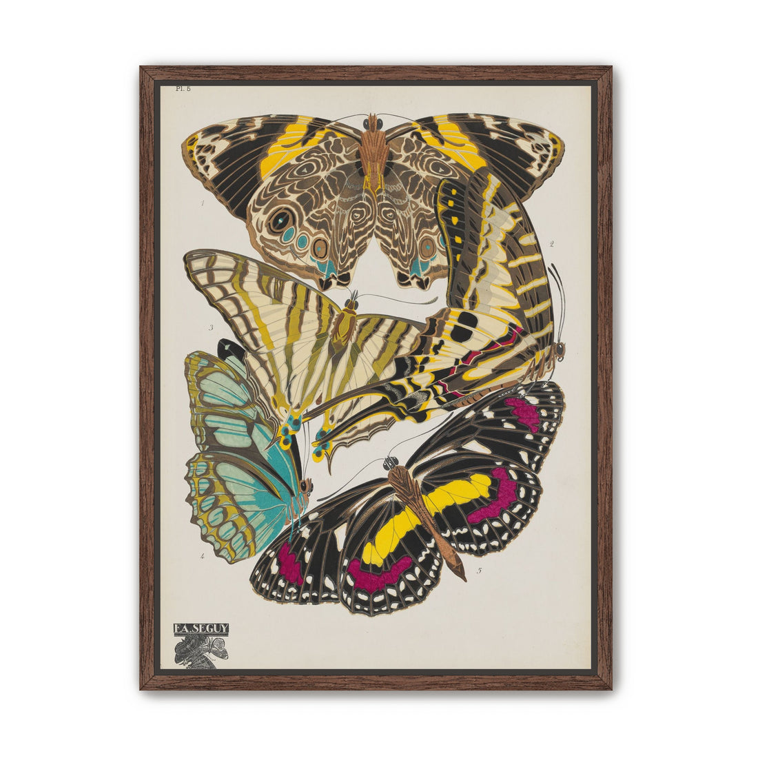 Butterflies among blank paper