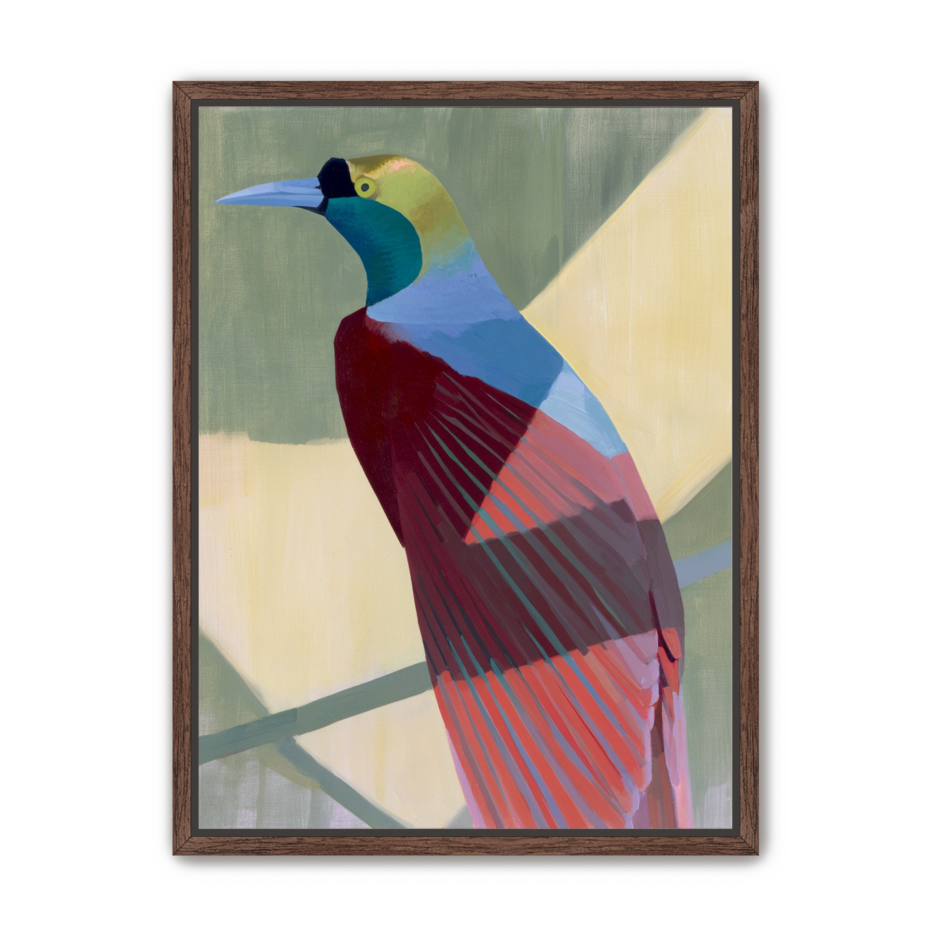 Teal throat on maroon wing