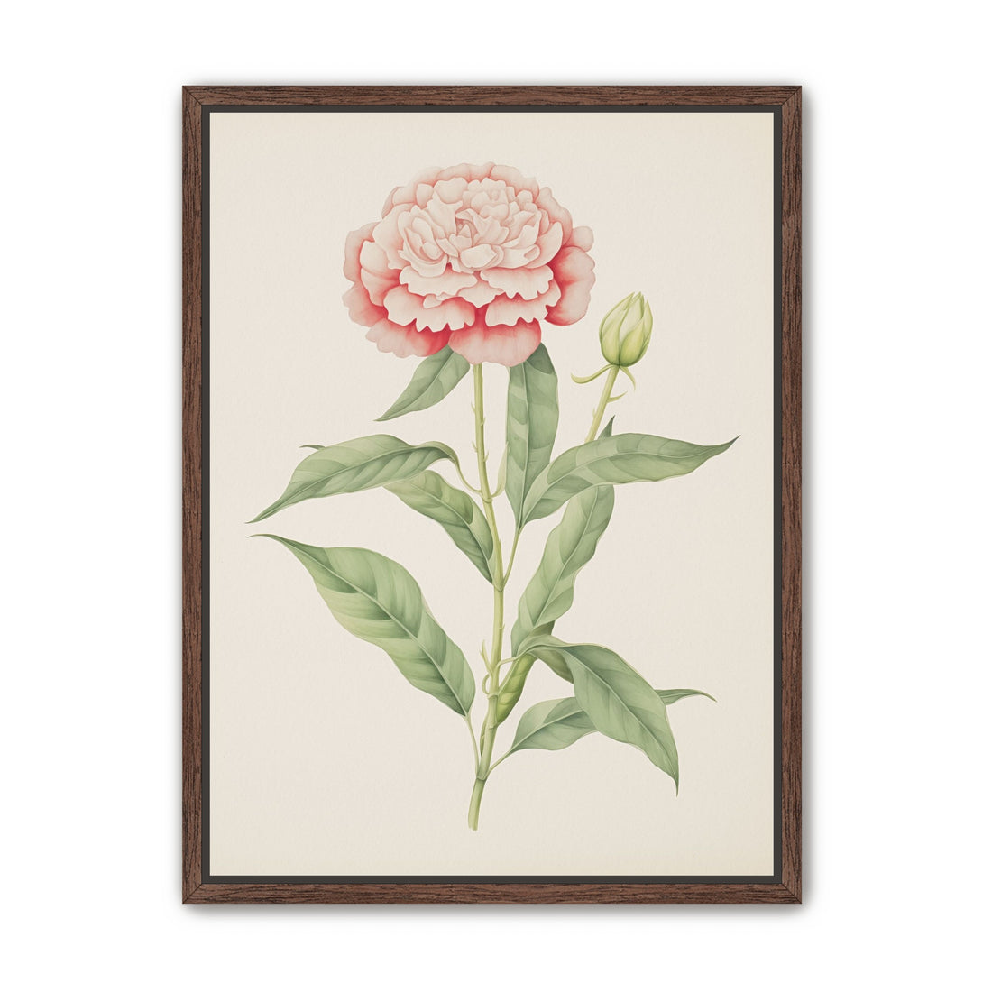 Delicate Blush