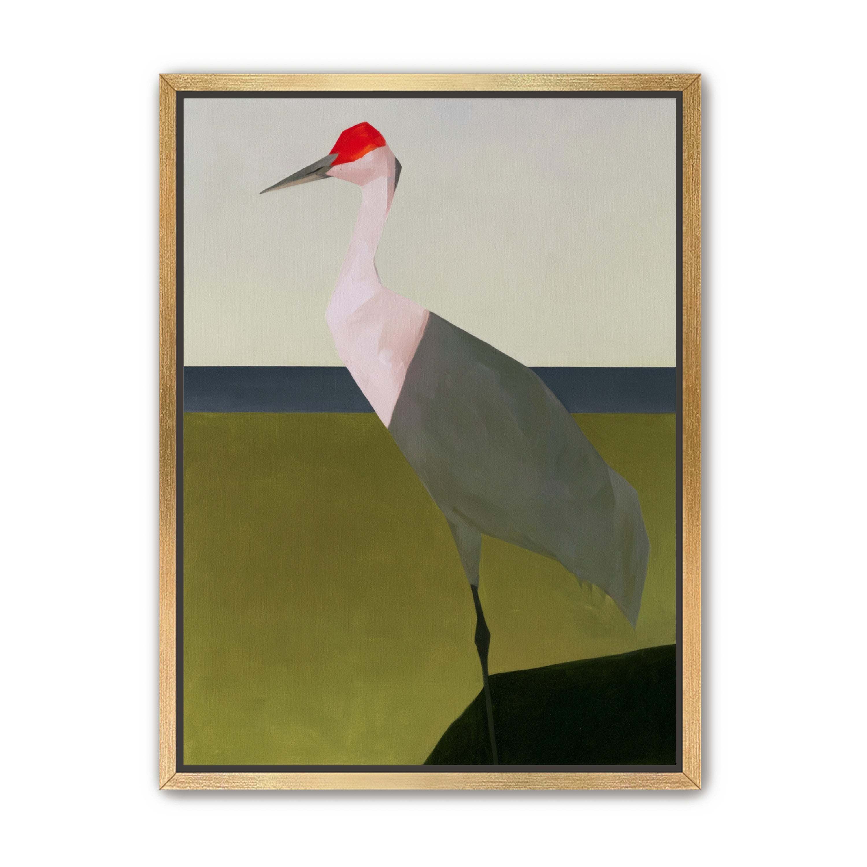 Red crown crane at the shore