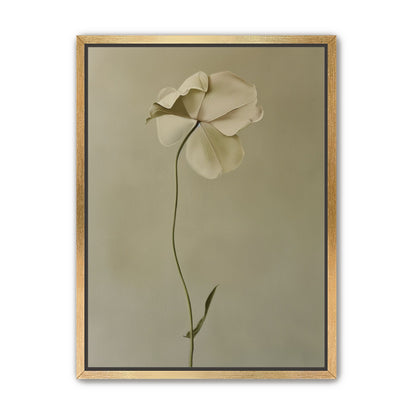 One flower leaning into quiet