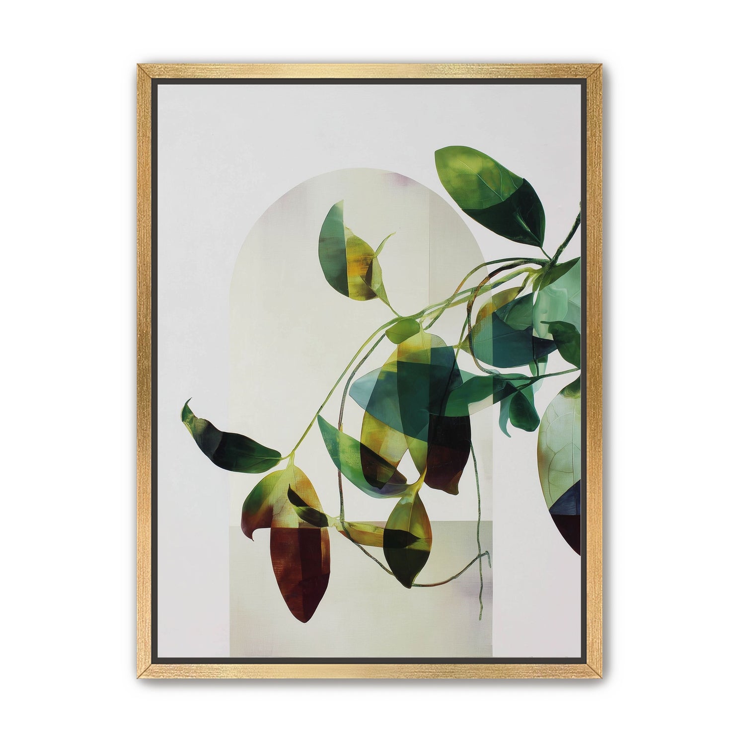 Leaves in a pale halo