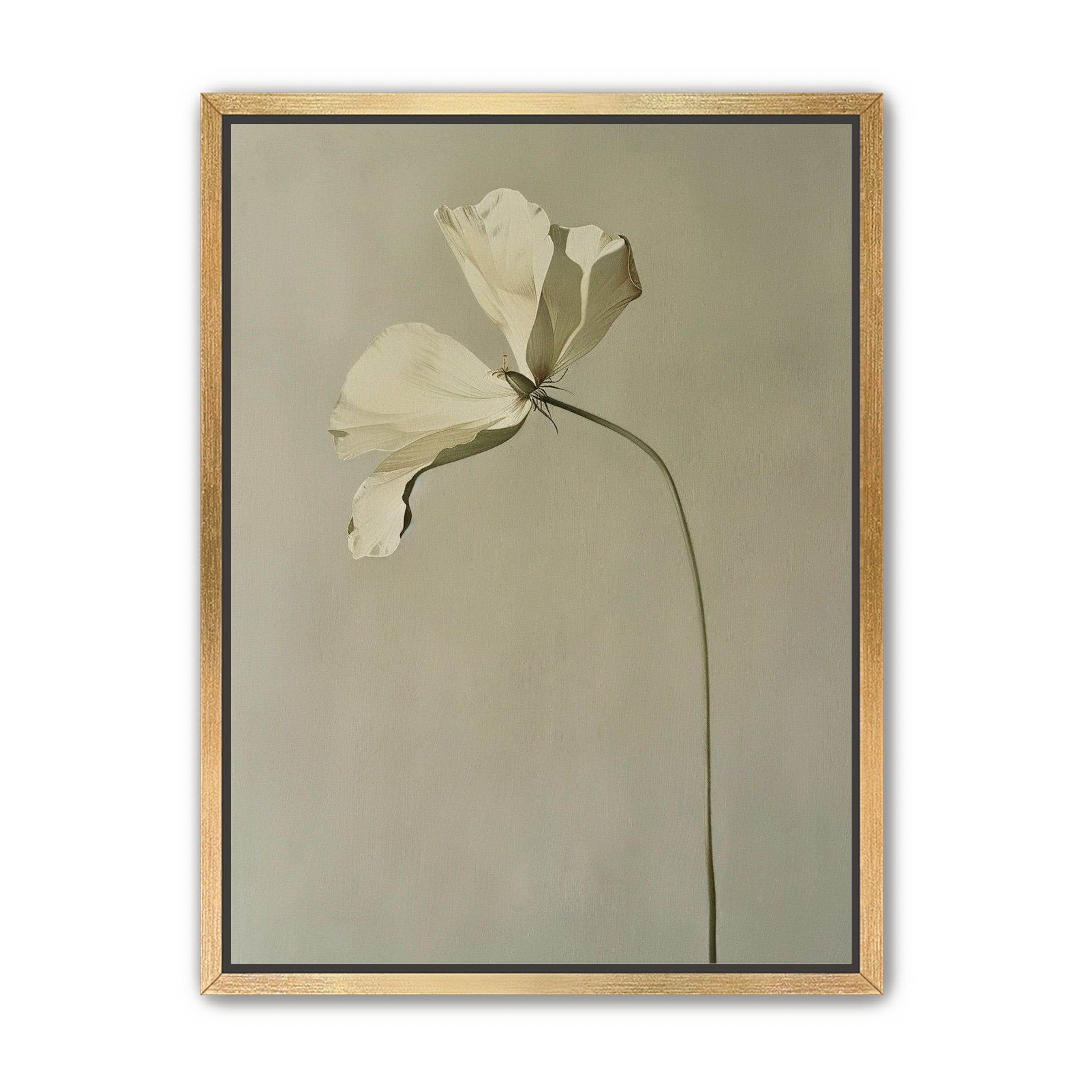 Cream petals in gray green air