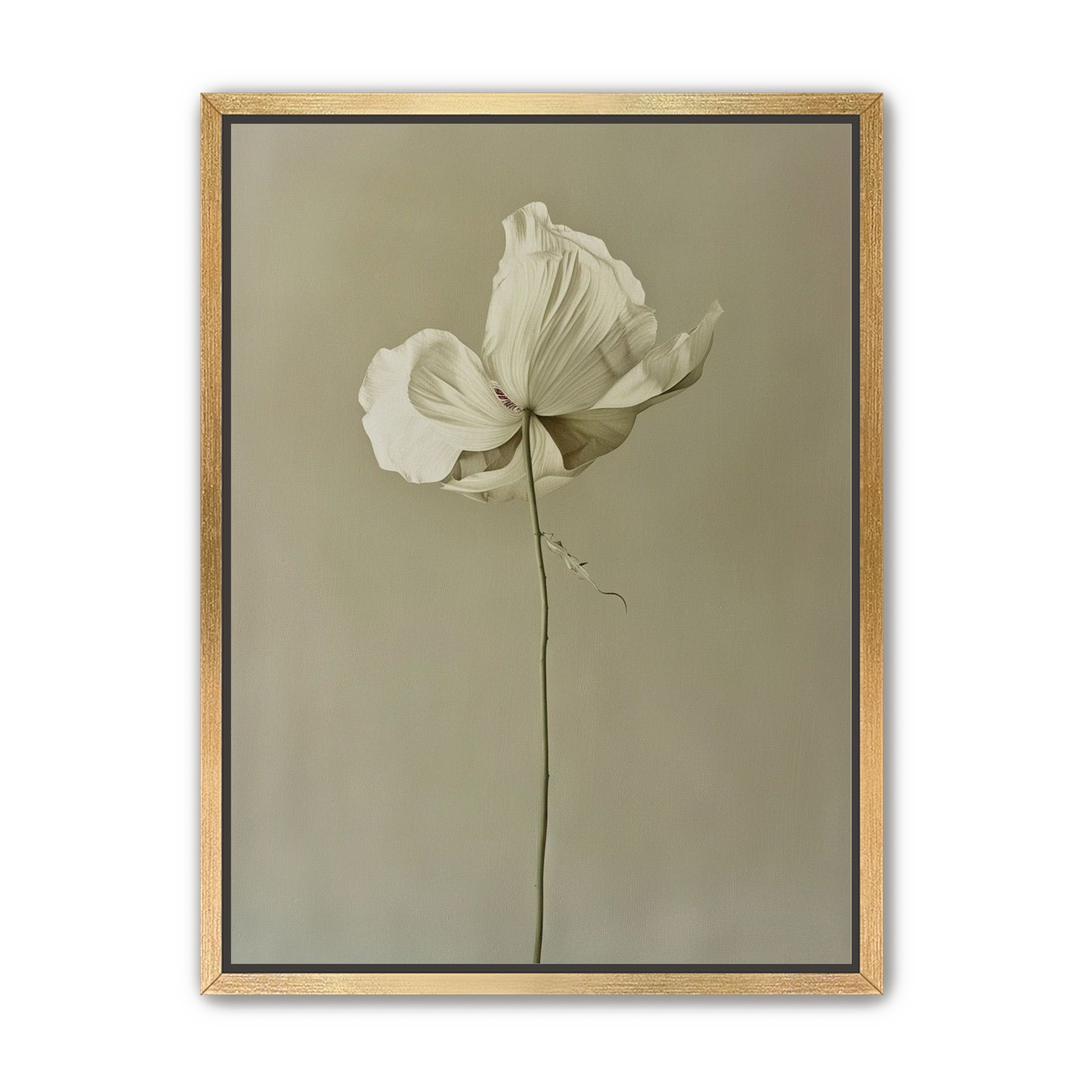 Ivory bloom in gray air