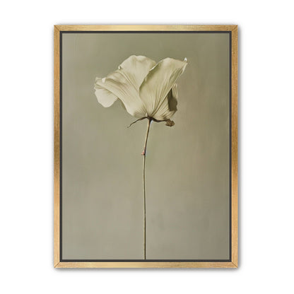 One flower and its hush