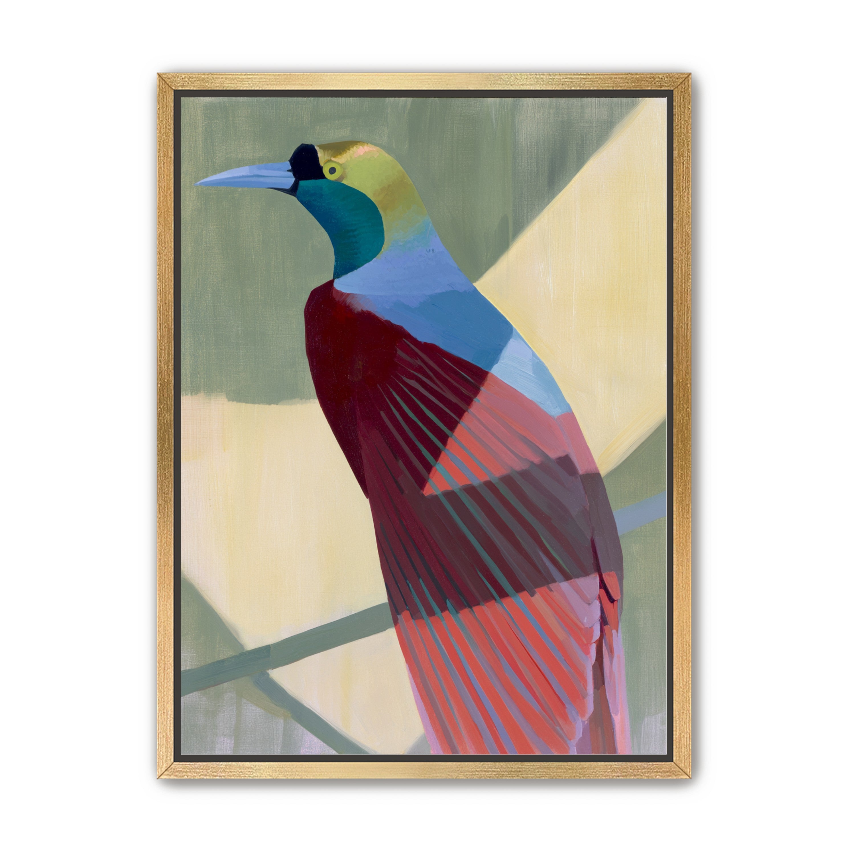 Teal throat on maroon wing