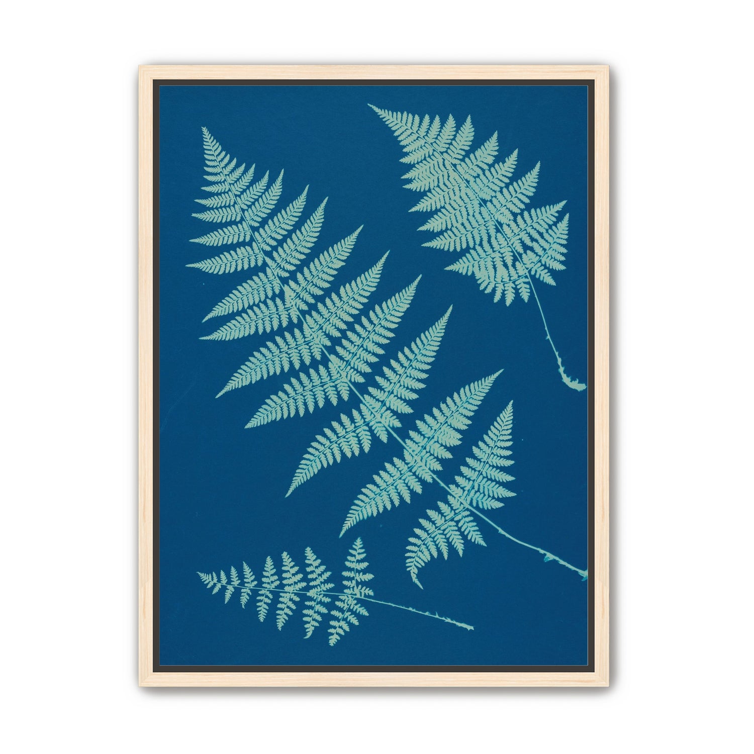 Pale ferns in deep blue