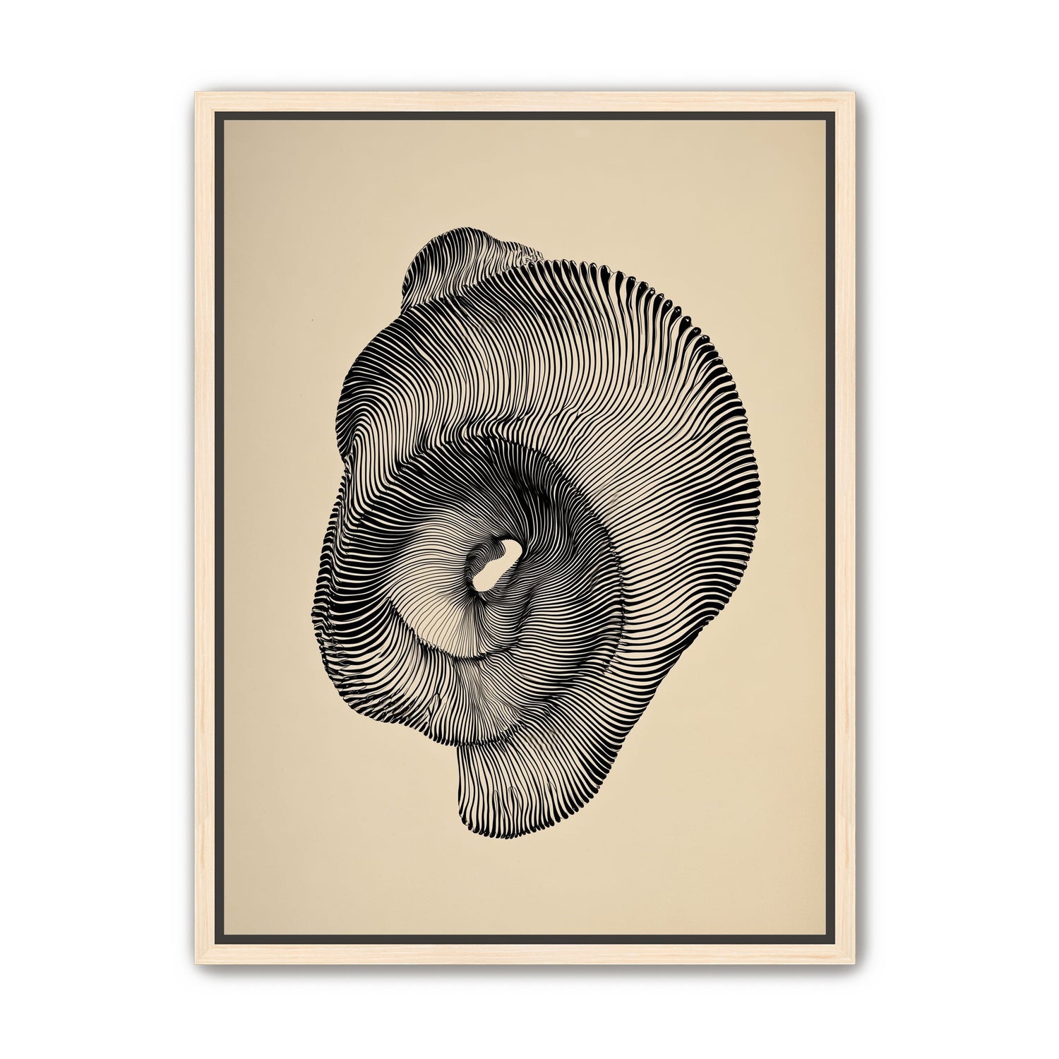 A hollow within black lines