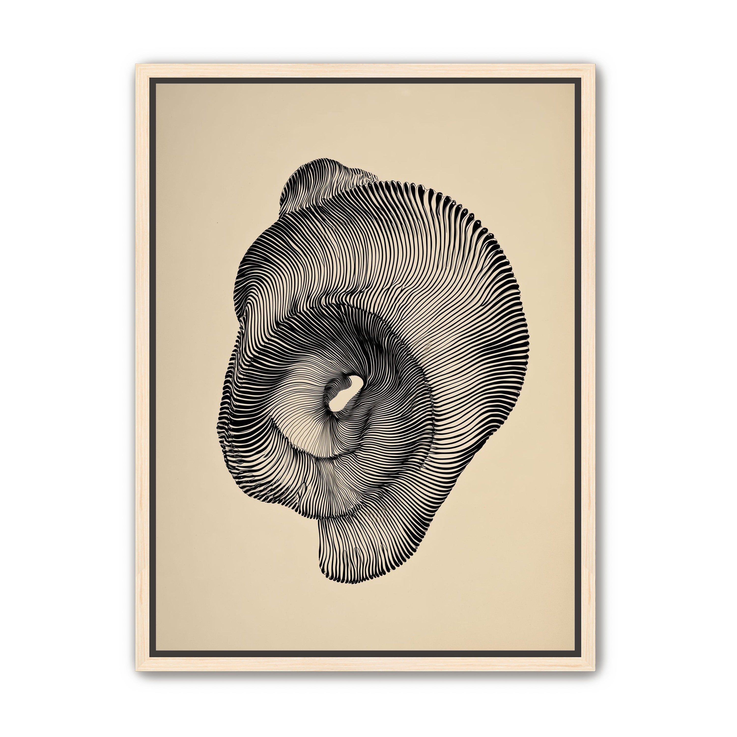 A hollow within black lines