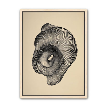 A hollow within black lines