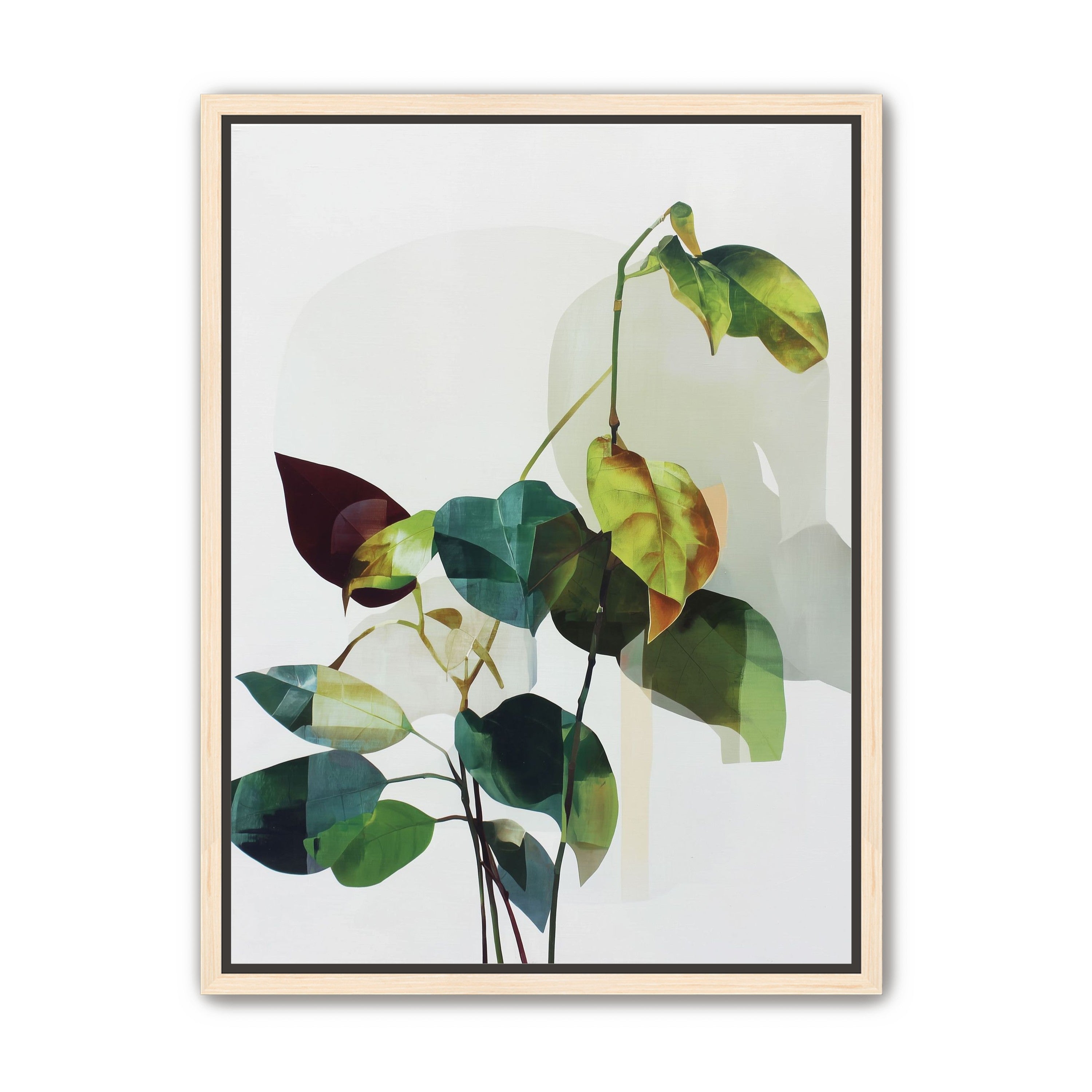 Leaves within pale shadows