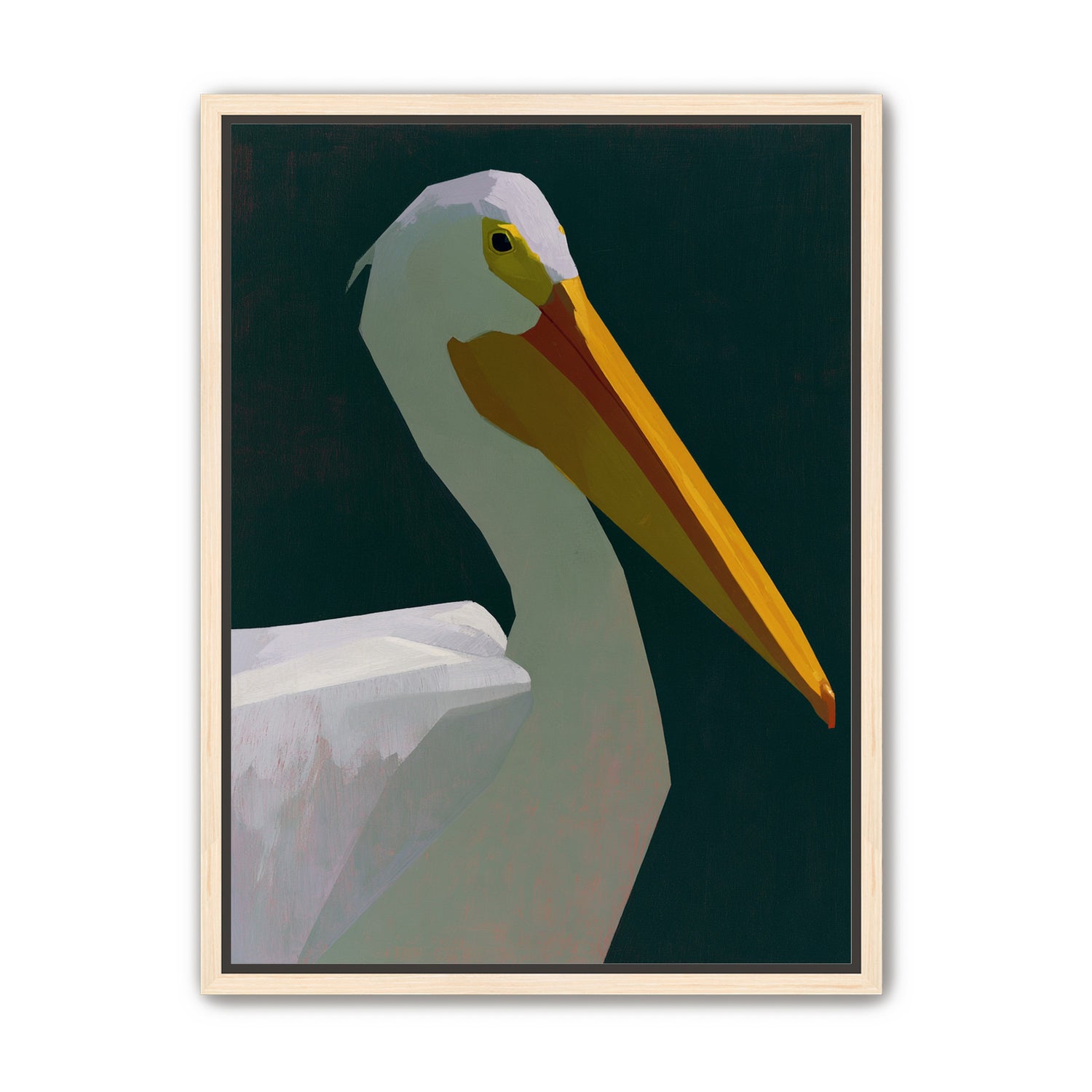 White pelican in deep green