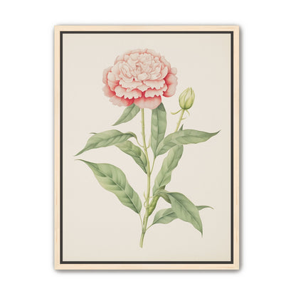Delicate Blush