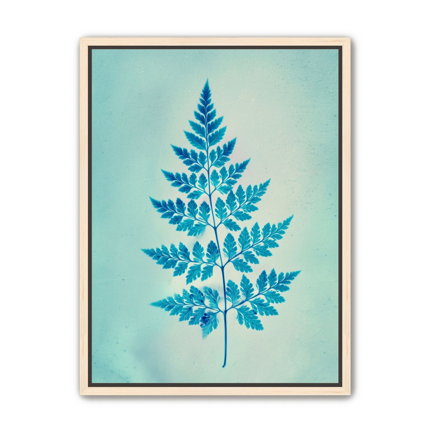 stems and leaves