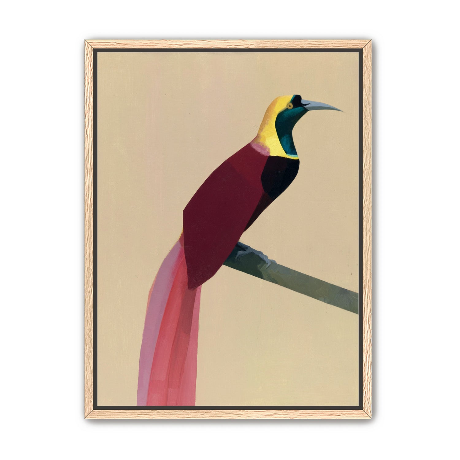A bright bird on a branch
