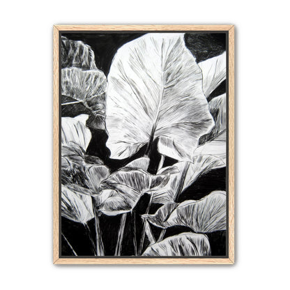 A Cluster of Leaves