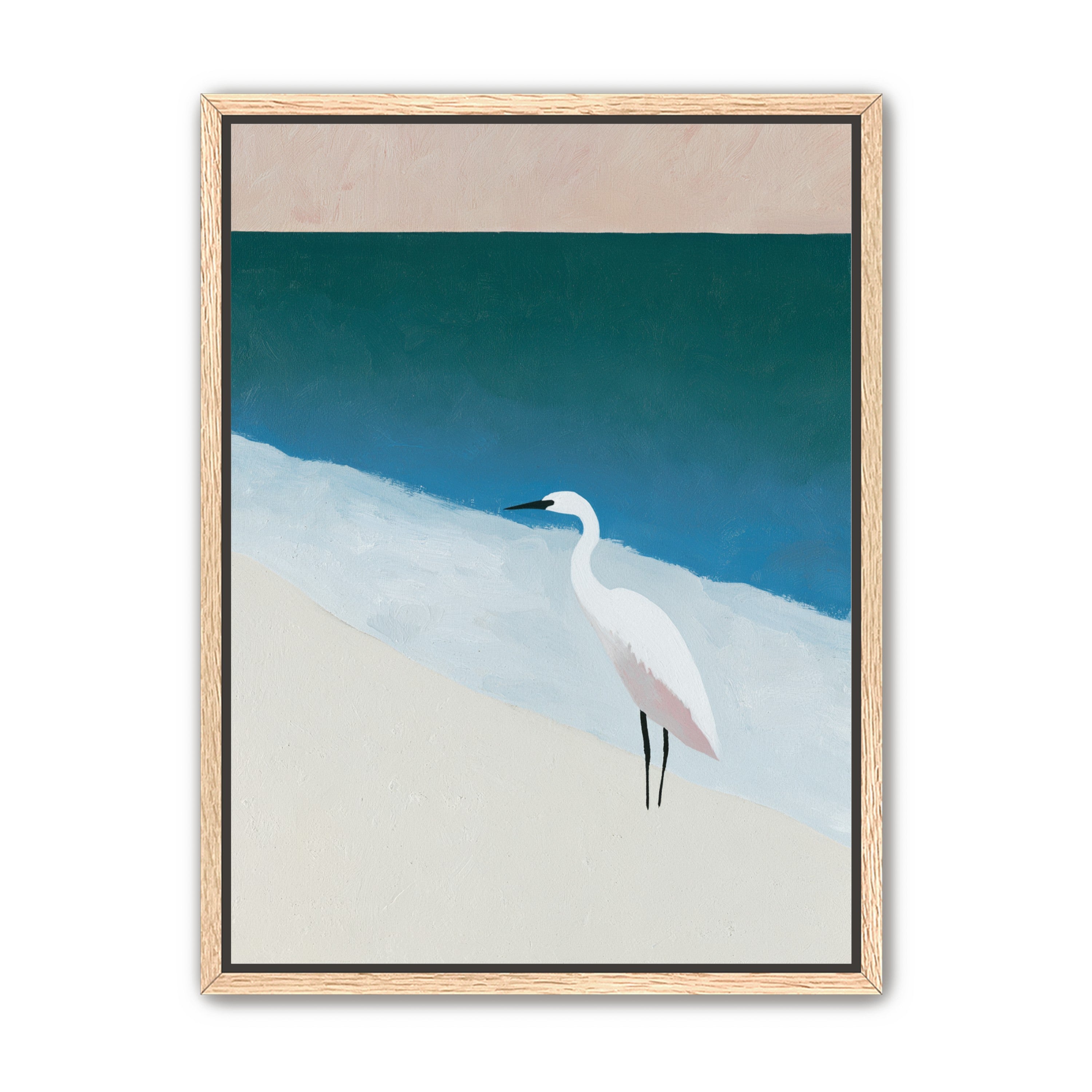 White egret at the shoreline