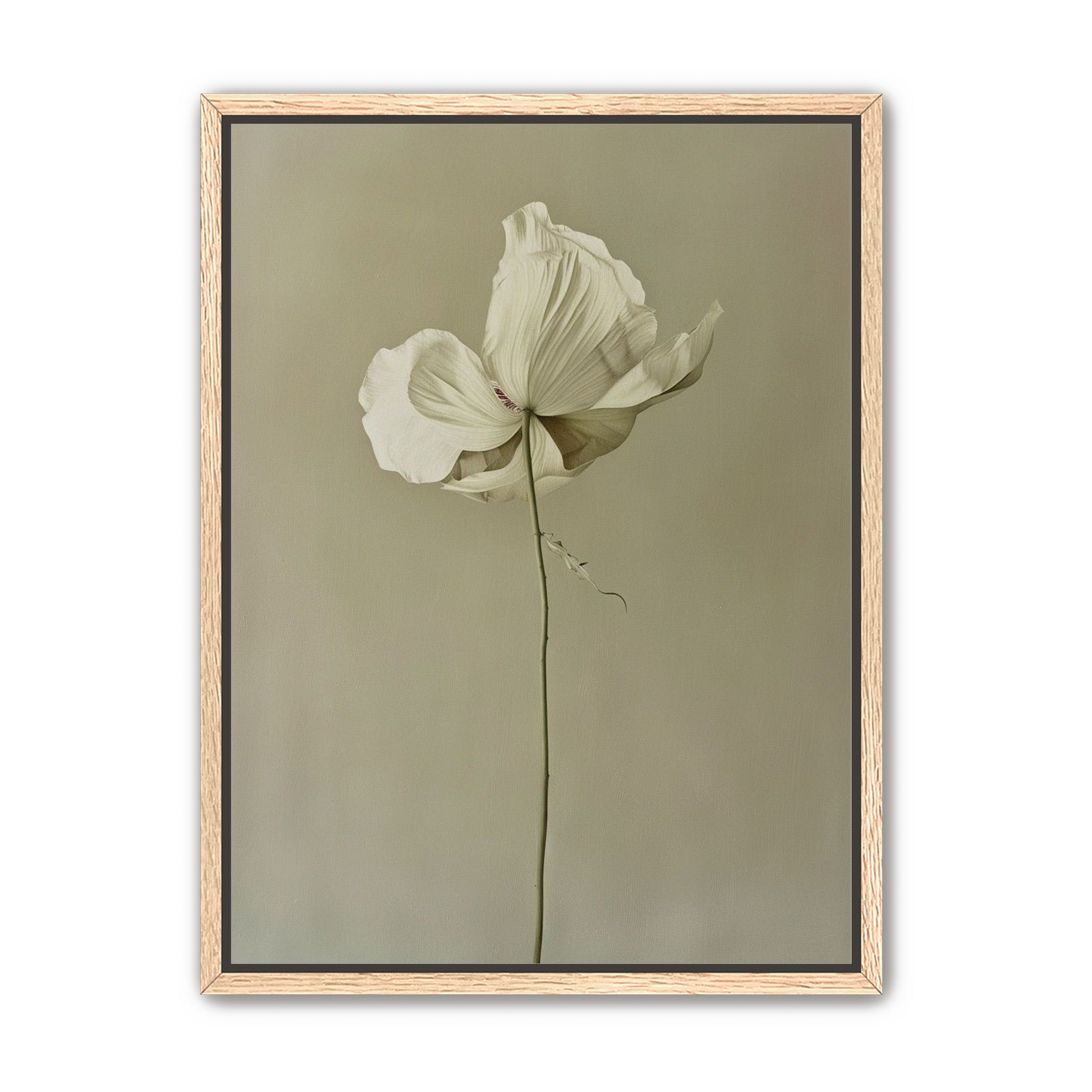 Ivory bloom in gray air