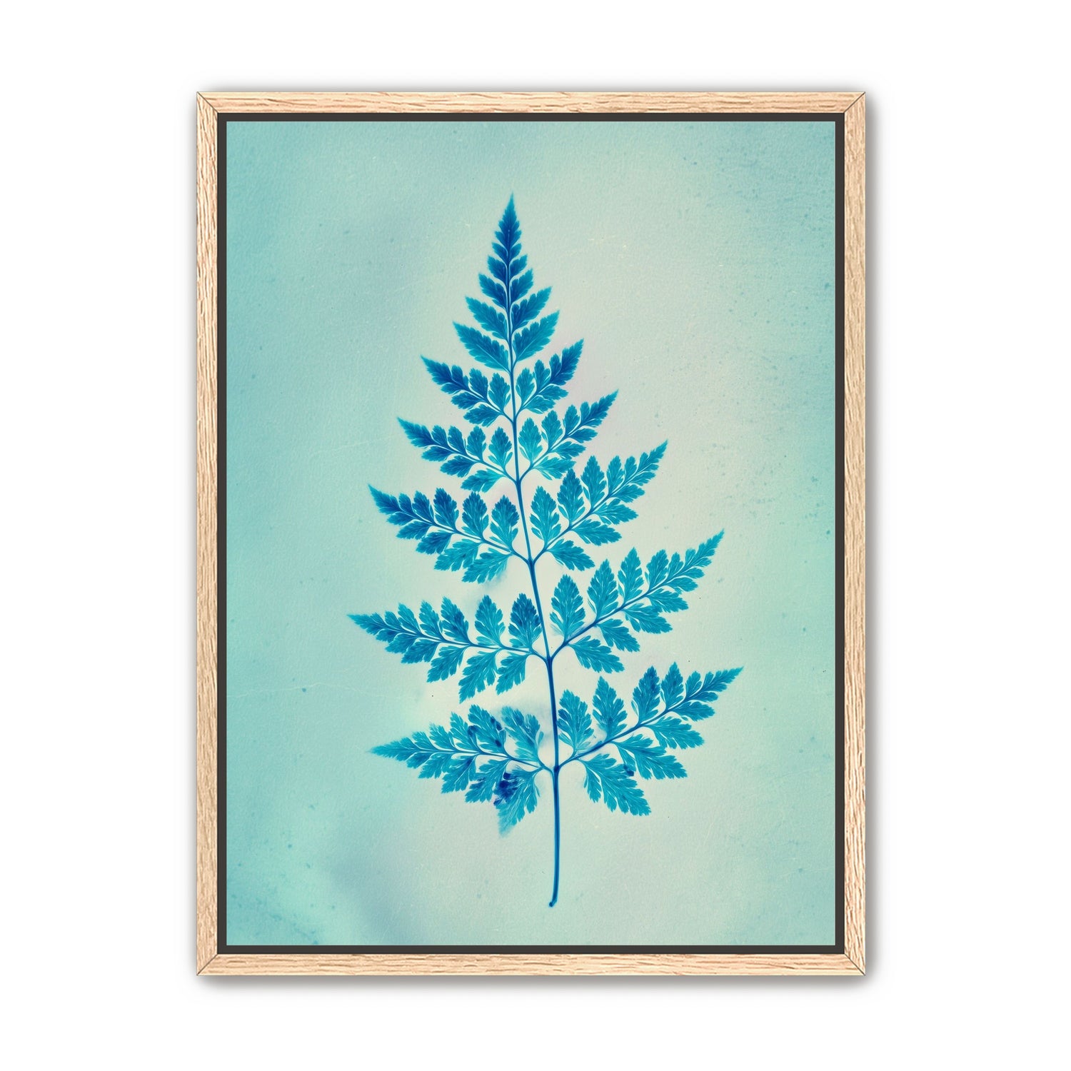 stems and leaves