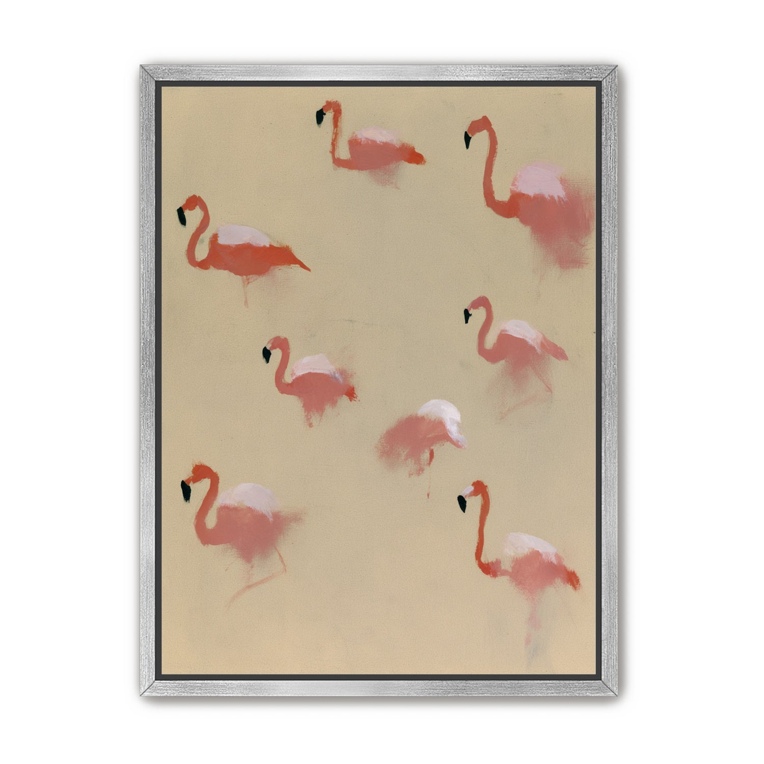 Flamingos in quiet drift