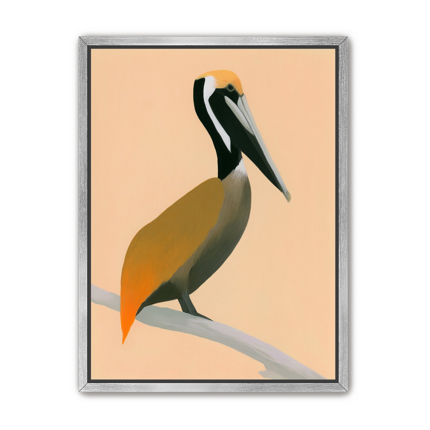 Pelican in peach light