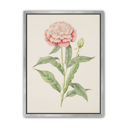 Delicate Blush