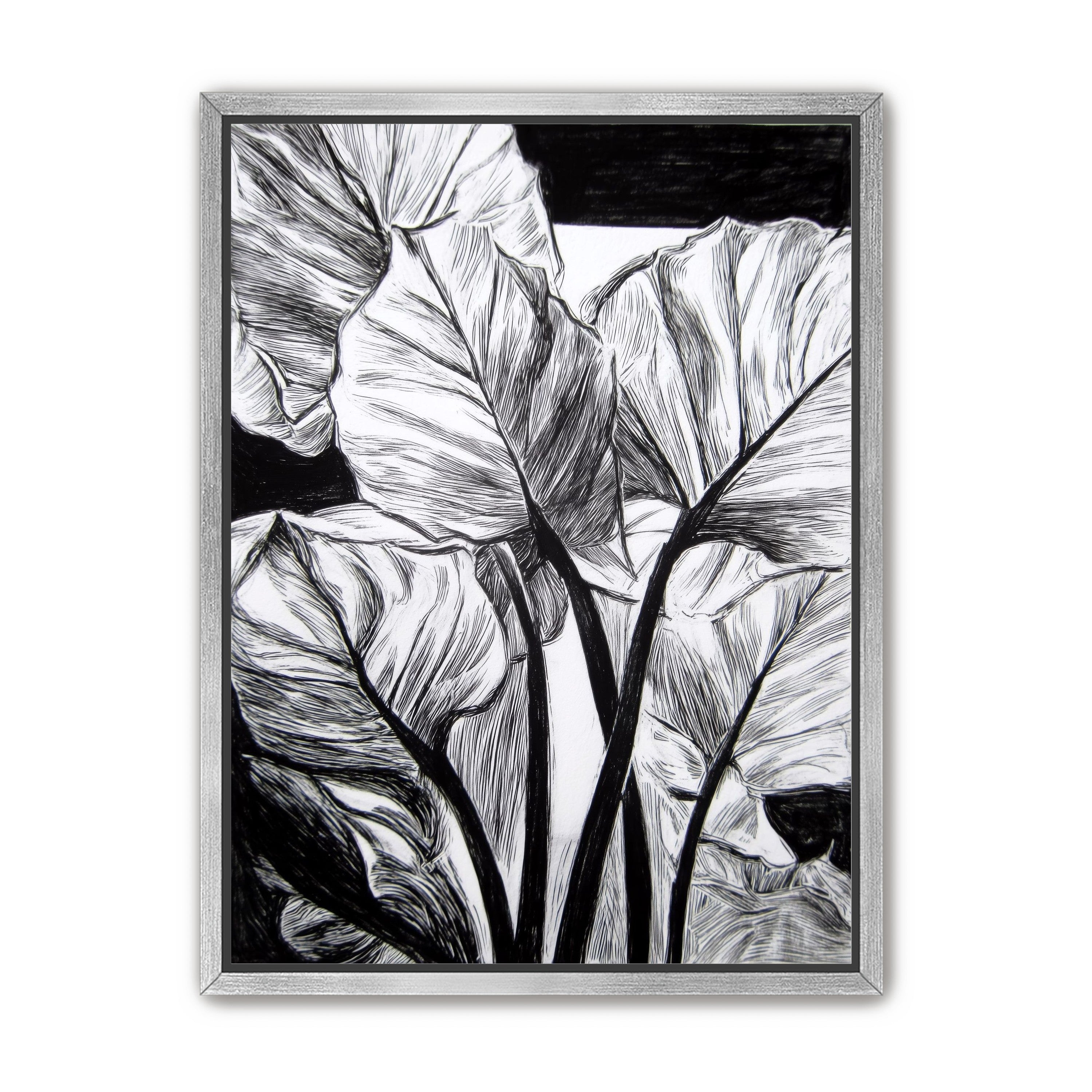 Overlapping Leaves on Dark Ground