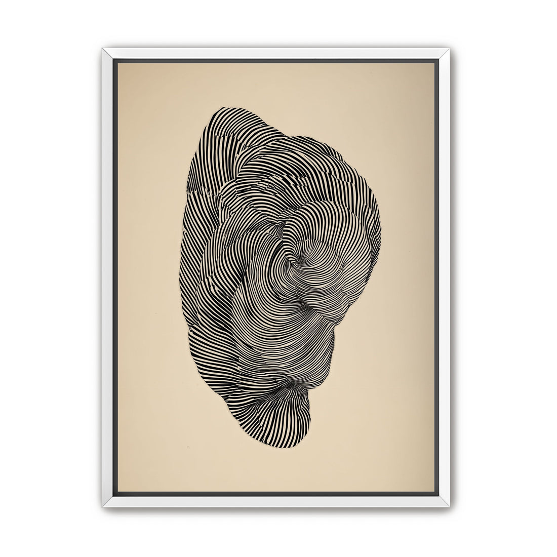 Vortex in a striped head