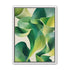 Green light in the lilies