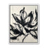 Black petals on pale grid