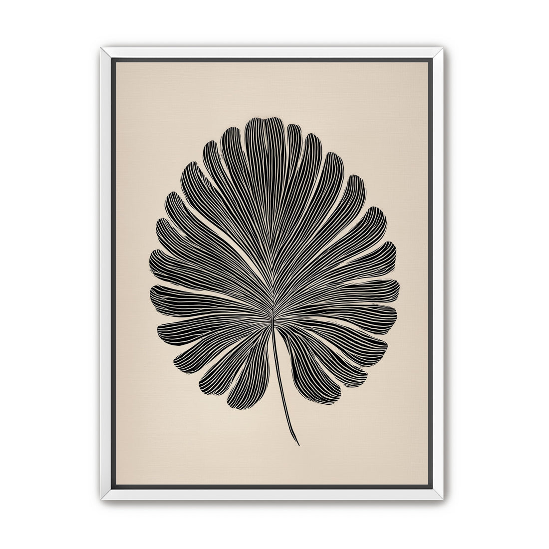 Striped fan leaf alone