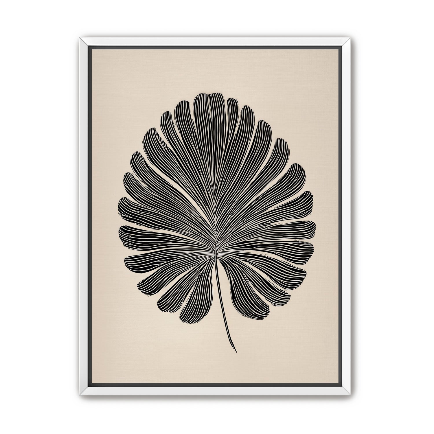 Striped fan leaf alone