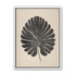 Striped fan leaf alone