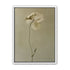 One flower leaning into quiet