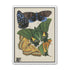 Butterflies on a pale plate