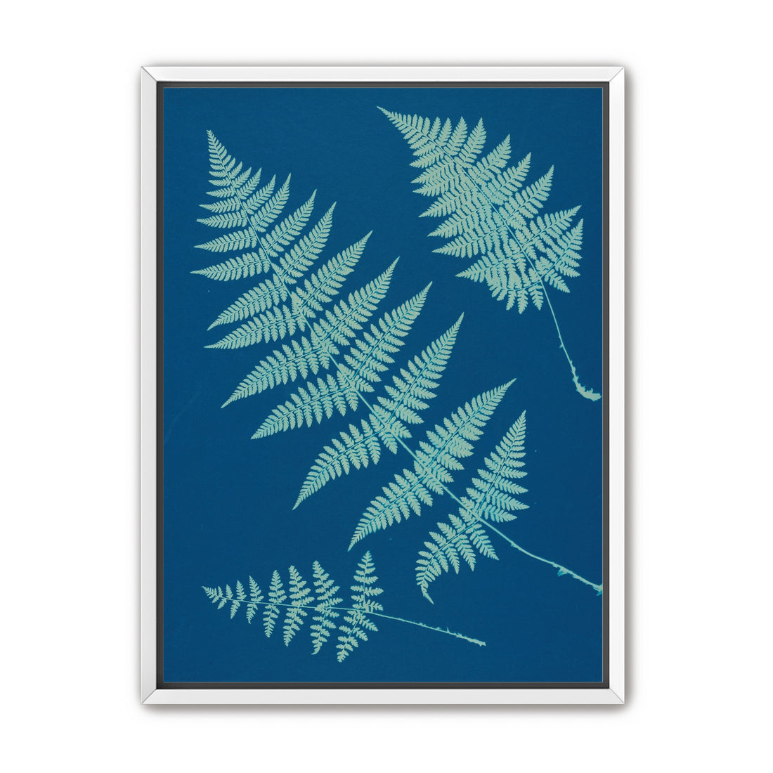 Pale ferns in deep blue