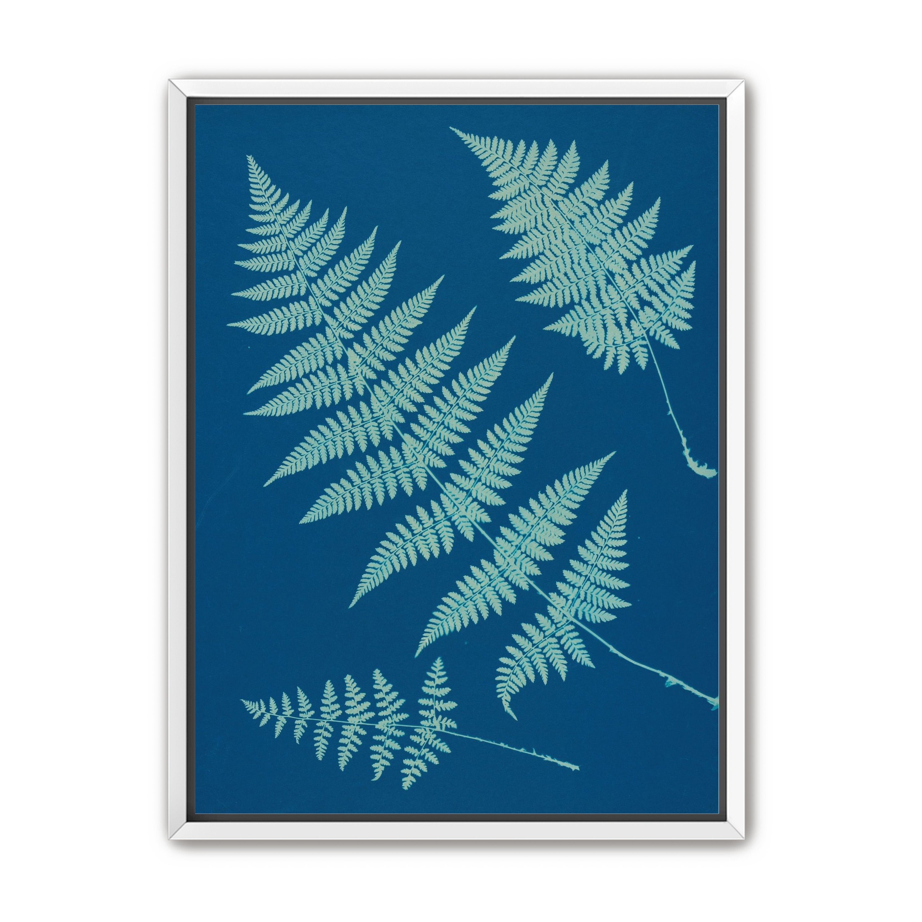 Pale ferns in deep blue