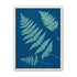 Pale ferns in deep blue