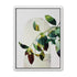 Leaves in a pale halo