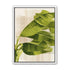 Banana leaves against the grid
