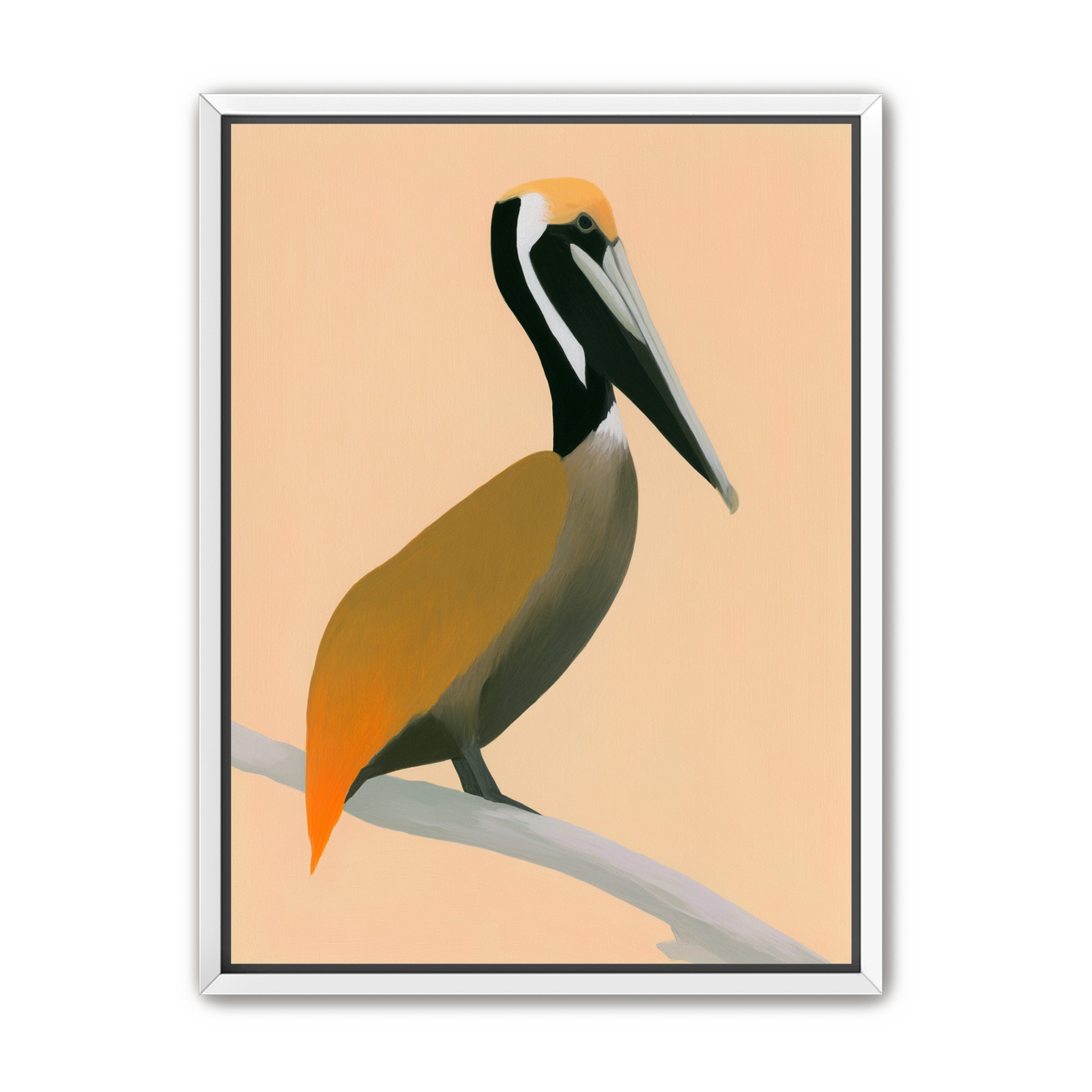 Pelican in peach light
