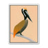 Pelican in peach light