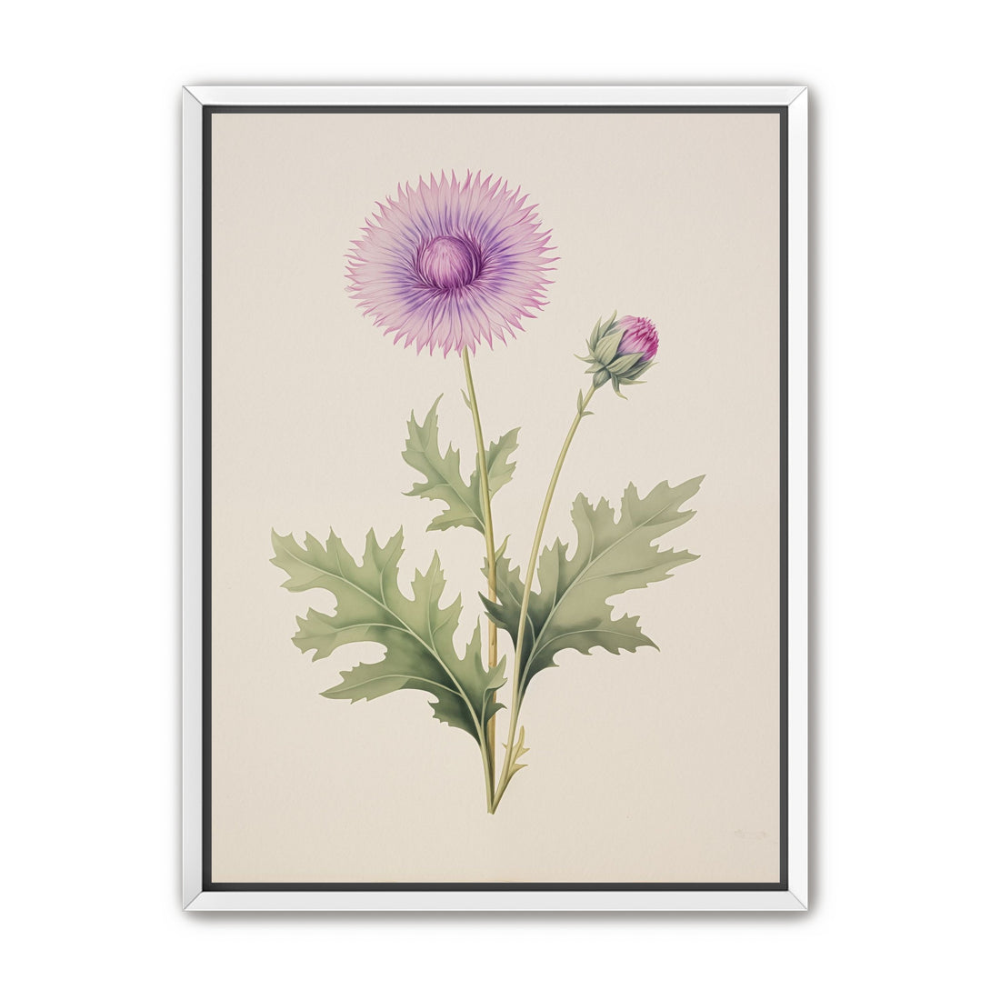 Lavender Radiance