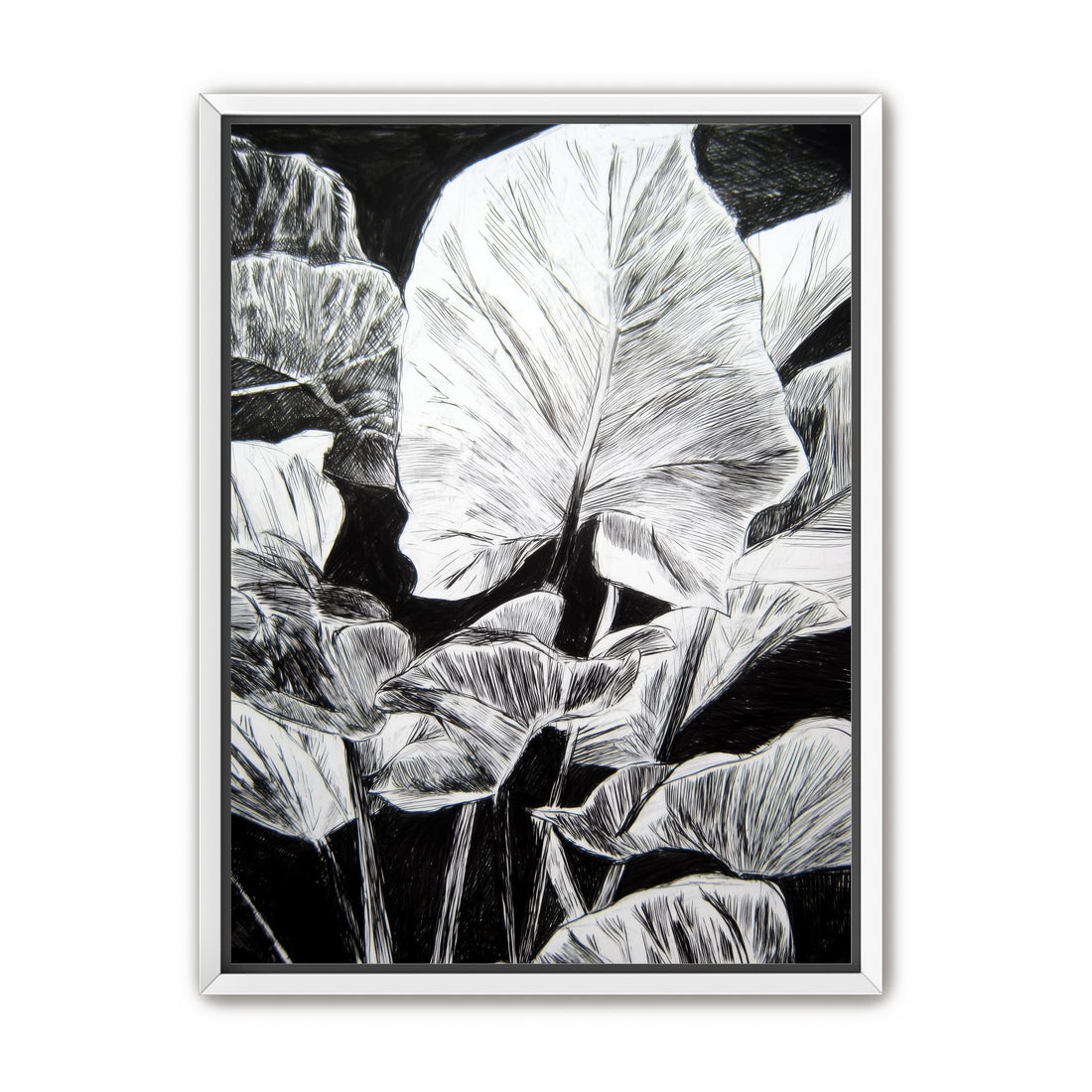 A Cluster of Leaves